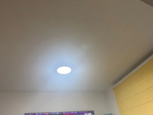 Afd0309d69b40440096bddde00e1ec4e2p.jpg