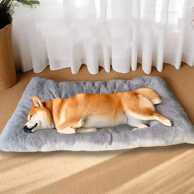 Cozy Canine Comfort Sofa