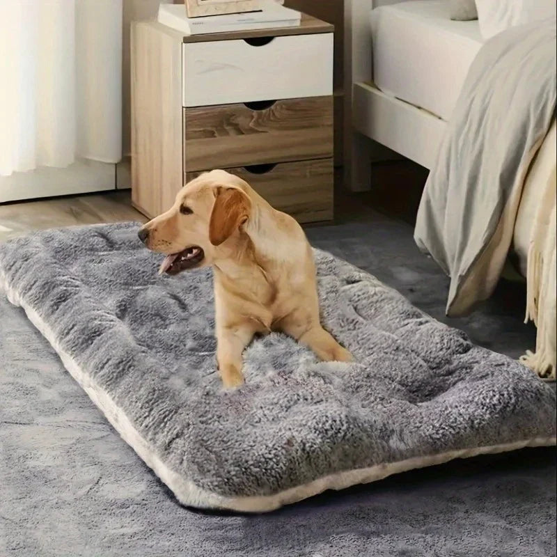 Cozy Canine Comfort Sofa