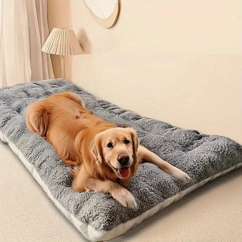 Cozy Canine Comfort Sofa