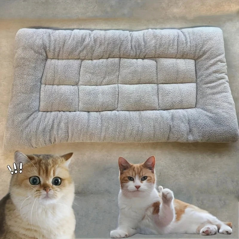 Cozy Canine Comfort Sofa