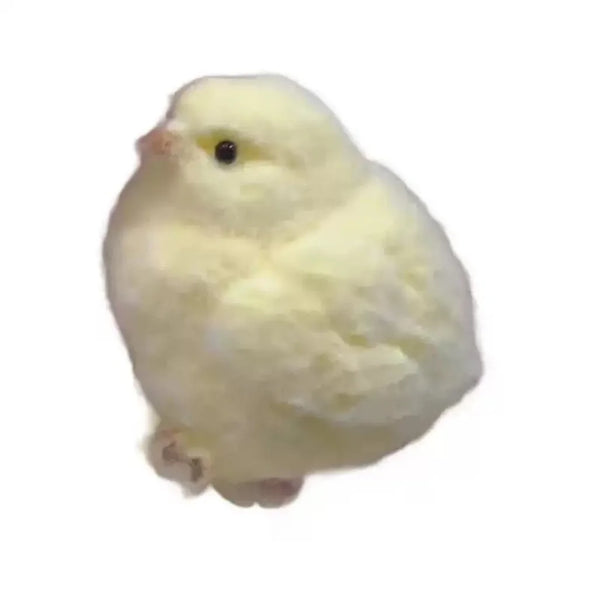 Cute Chicken Stress Squeezer
