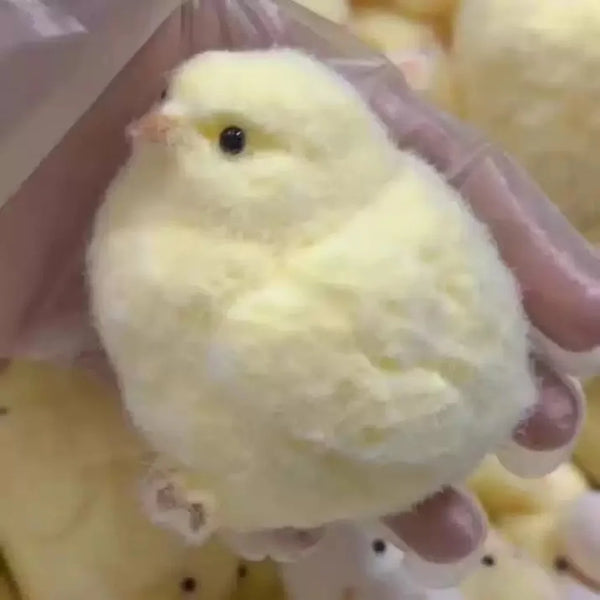 Office-Stress-Reliever-Funny-6CM-Slow-Rise-Chicken-Squishy-Cute-Desk-Fidget-Toy-for-Adults-Anxiety.jpg